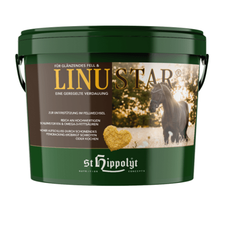 LinuStar Leinsamen -  3kg