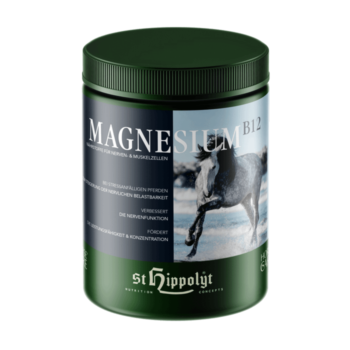 Magnesium B12 - 1kg